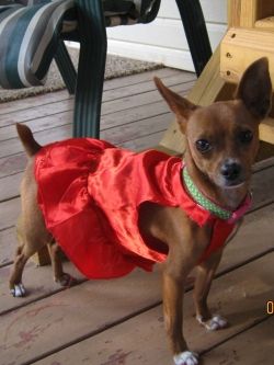 Lexie in her pretty red dress