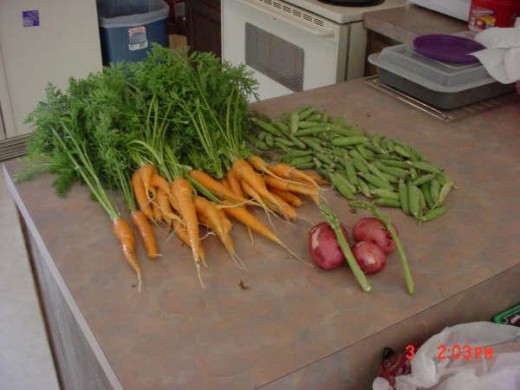 Grew them myself!