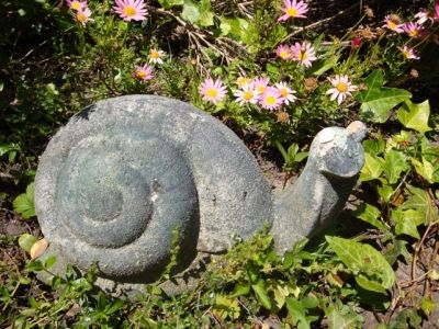 Slow but steady-footed, the snail symbolizes stability.