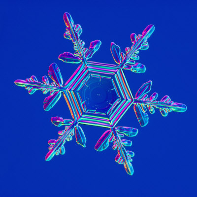 Snowflake print by Kenneth Libbrecht