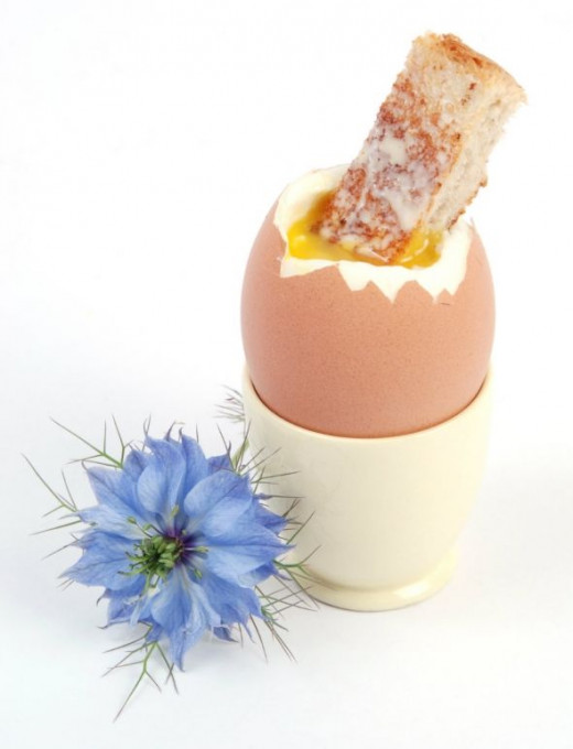 How to boil an egg in the microwave HubPages