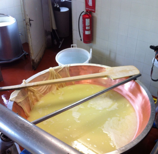 parmesan-reggiano cheese making