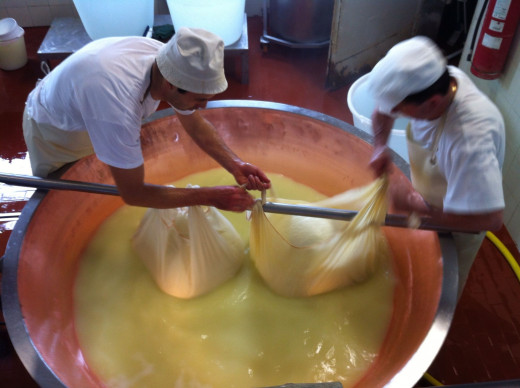 lifting the curd out - cheese making