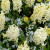 White hyacinths can be really stunning.