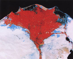 Nile River Delta - False Colour Satellite Map