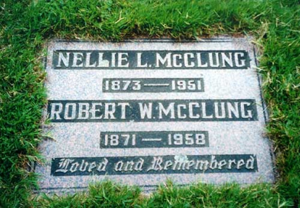 why is nellie mcclung important