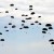 Parachuting in Fayetteville, North Carolina.