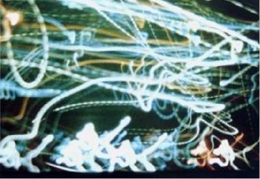 Dorothy Izatt captures 'beings of light' on film