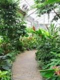 Garfield Park Conservatory and Sunken Gardens