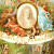 The cover of Tales of Mother Goose (Contes de Perrault) by Antoinette Lix The cover of Tales of Mother Goose (Contes de Perrault) by Antoinette Lix