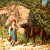 Little Red Riding Hood meets wolf - beware: there is no hunter in this version Little Red Riding Hood meets wolf - beware: there is no hunter in this version