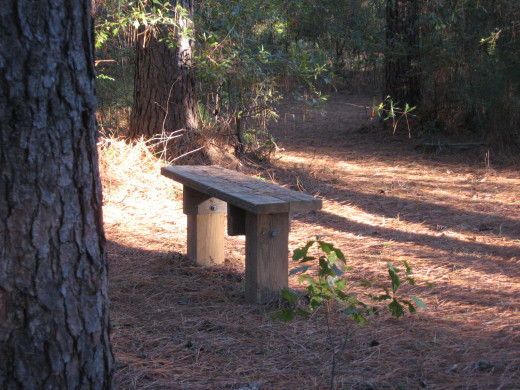 Completed Bench Lower Trail