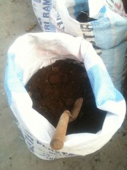 Adding Potting Soil