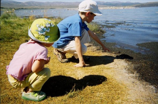 Children studying the water and life in it