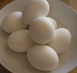 White Chicken Eggs by cursedthing
