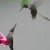 Two hummingbirds having a, um, heated discussion.
