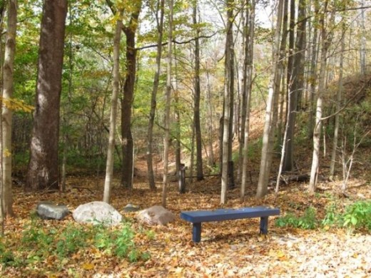 A number of benches will be found along the trail.
