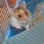 The first photo I ever took of Littlefoot The first photo I ever took of Littlefoot