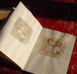 Keep an artist sketchbook