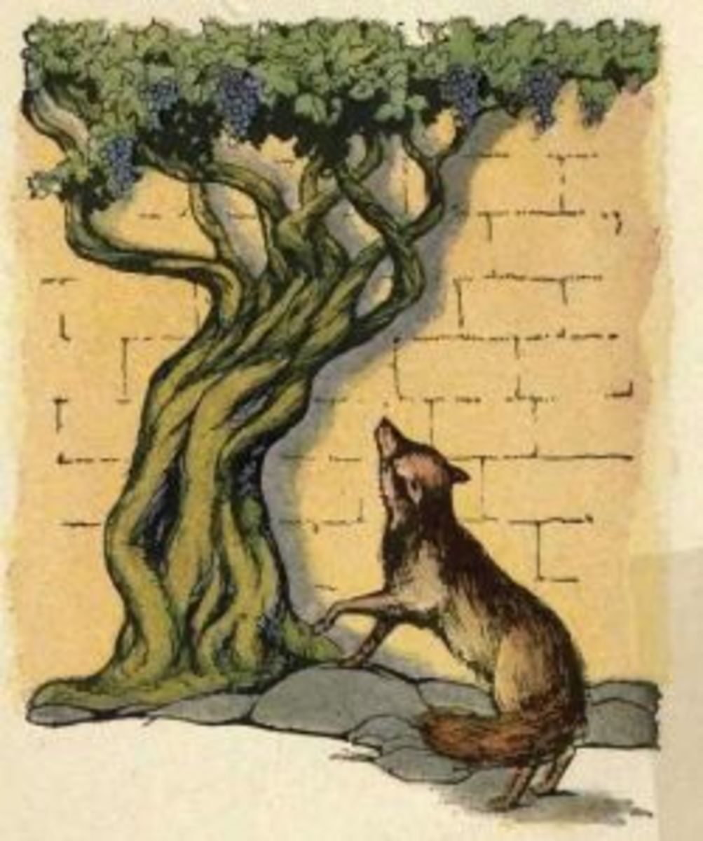 The Fox and Sour Grapes illustrated by John Tenniel