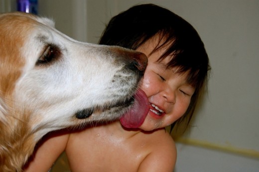 Puppy licking a babies face.