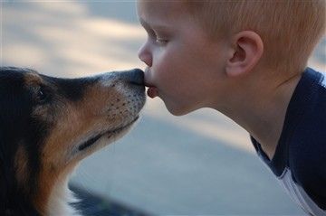 Litlle Boy Kissing a Dog