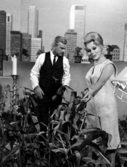 Green Acres Television Show