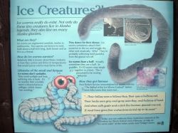 Ice Worm FAQs - Creative Commons Photo by Alaskaent