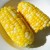 Remove the husks, and your grilled corn on the cob is ready to enjoy!