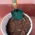 Using my Garden Trowel to get mud for my transplanting container. Using my Garden Trowel to get mud for my transplanting container.