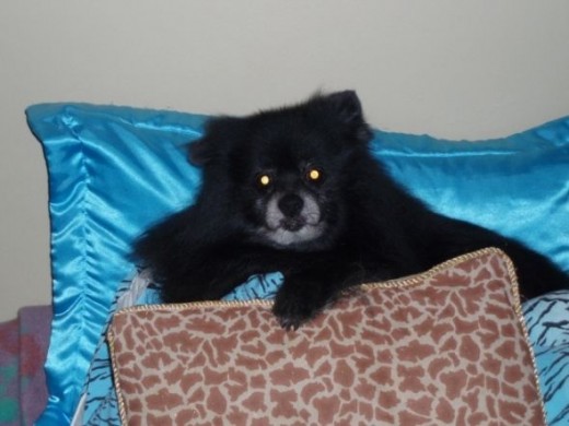 the king on his pillows