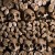 Roman catacombs, known for their passageways lined with bones consist of hundreds of connected tombs in Capuchin Crypt, Rome.