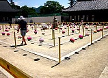 Declared a world heritage by UNESCO in 1995, Haeinsa Temple, South Korea complex houses the Tripitaka Koreana.