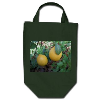 Many types of citrus ripens in October and November including Meyer lemons, satsumas and kumquats.