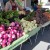 Downtown Hollister Farmer's Market is open every Wednesday afternoon from May to September. Downtown Hollister Farmer's Market is open every Wednesday afternoon from May to September.