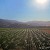 A field being watered off Cienega Road in Paicines. A field being watered off Cienega Road in Paicines.