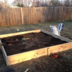 Drying Herbs From Your Garden - From Fresh to Dried