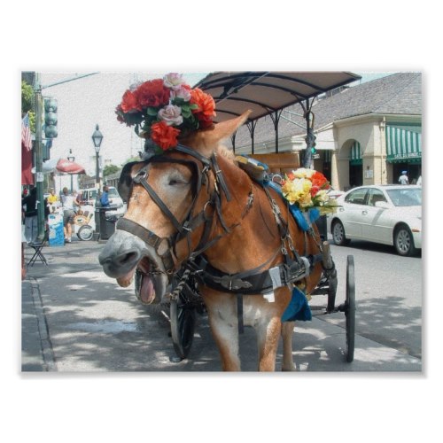 New York may have its horse drawn carriages, but we have mules. Hee-haw!