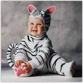 baby in tiger suit