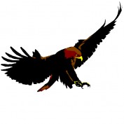 Cyberhawks profile image