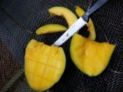 Grilled Mango (Seriously?)