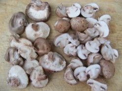 Grilled Veg 4 - Mushrooms