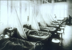 US Camp Hospital Influenza Ward