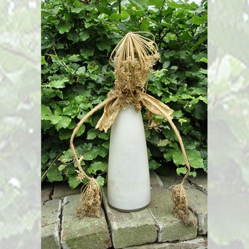 Dried up Giant Hogweed flower