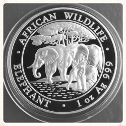 2013 Somalia Silver Elephant Coin