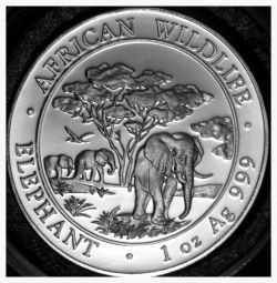 2012 Somalia Silver Elephant Coin