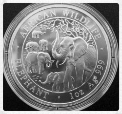 2008 Somalia Silver Elephant Coin
