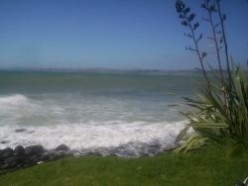 Top Places to visit in Raglan, New Zealand