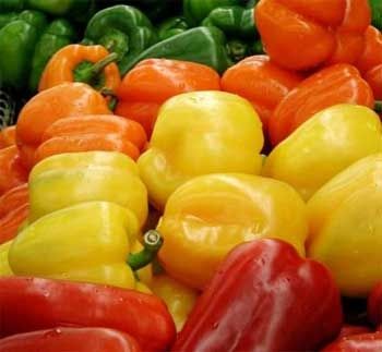 Beautiful bell peppers.