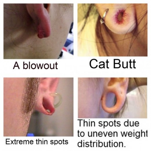 Cat Butt Effect 82